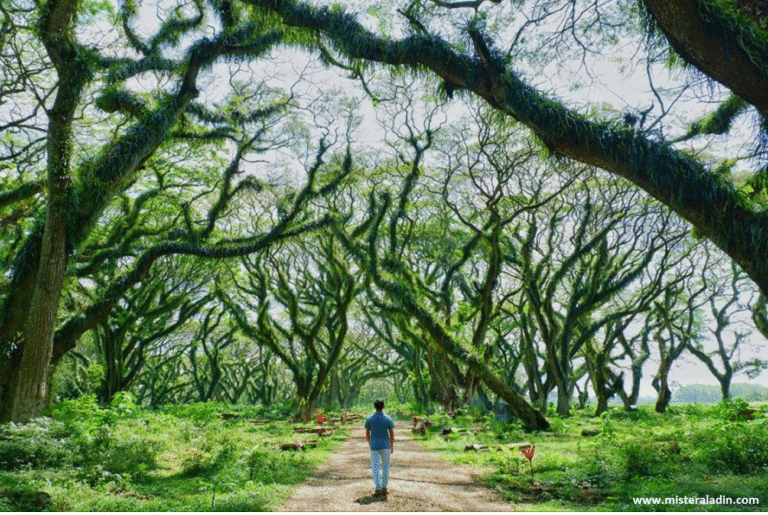 Wisata TikTokable: 5 Spot Instagrammable yang Sedang Viral di 2025
