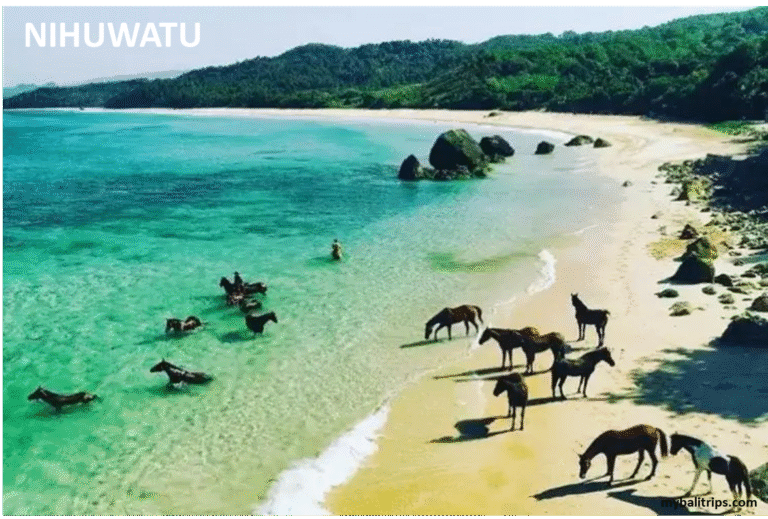 Nihuwatu