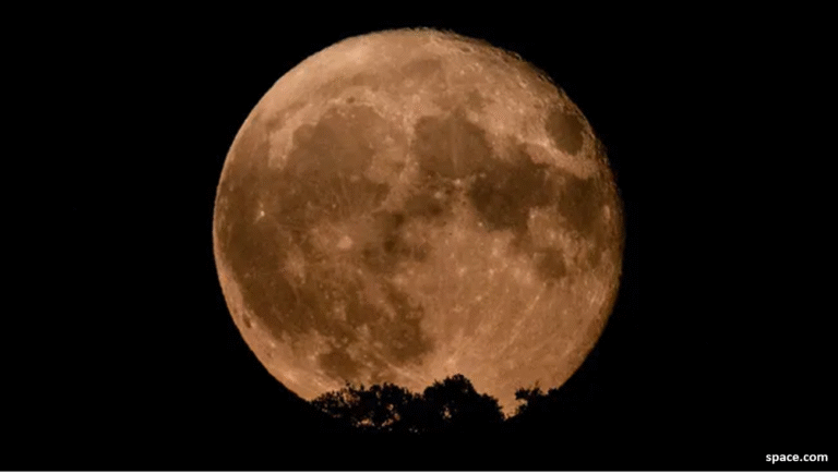 Supermoon-Sturgeon Moon