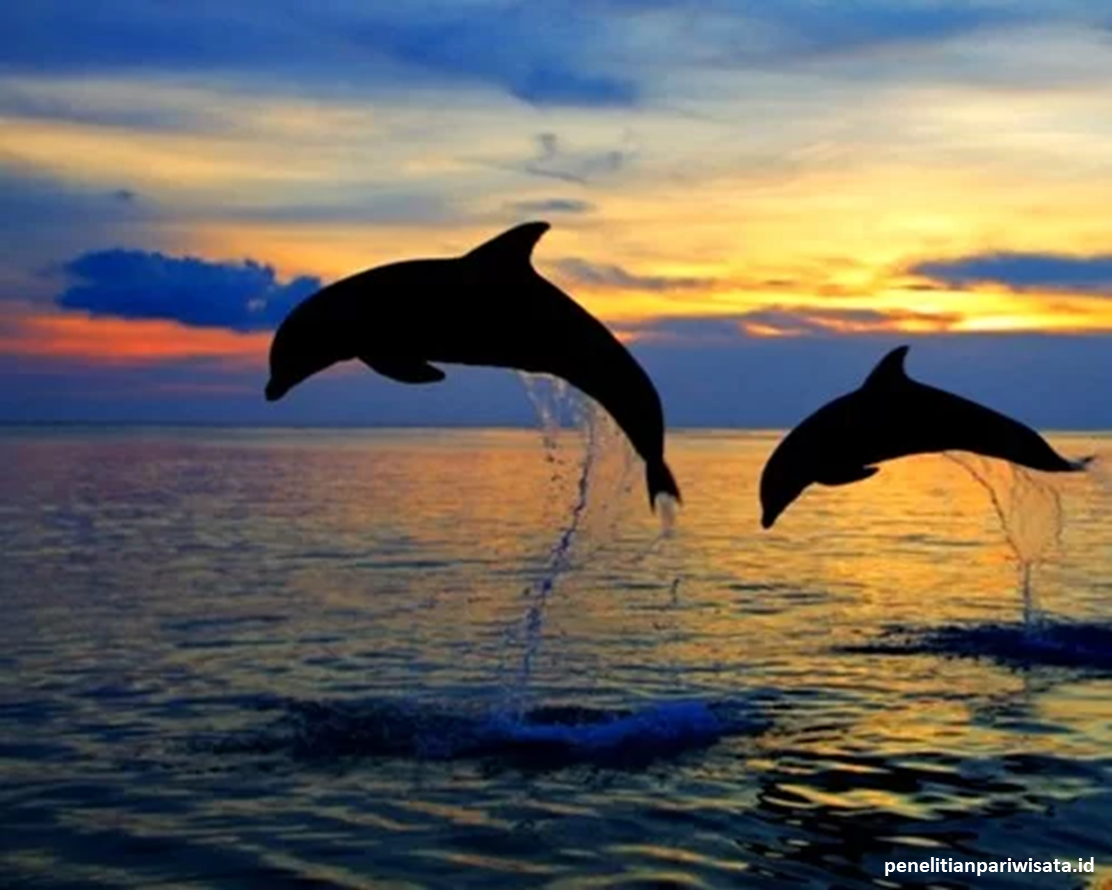 Wisata Lampung: Surga Pantai, Alam, dan Budaya di Ujung Sumatra